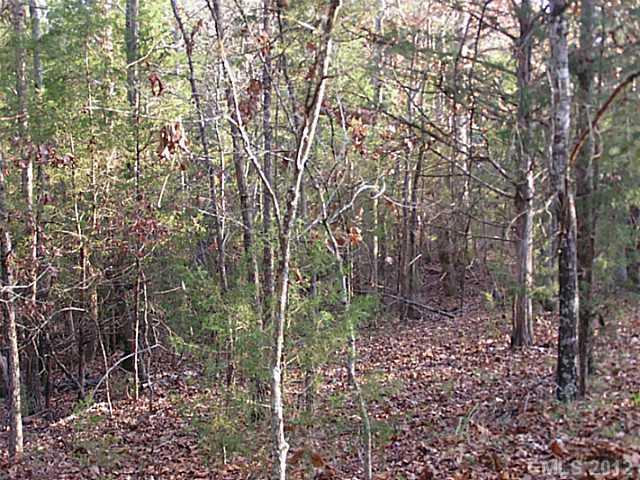 10-ac 10-ac Baton Rouge Road Chester, SC 29706 - Photo 5 of 16