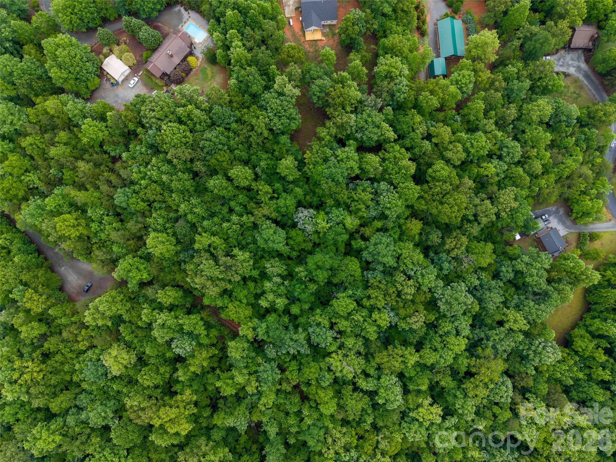 0 Bee Gee Drive Rutherfordton, NC 28139 - Photo 17 of 26