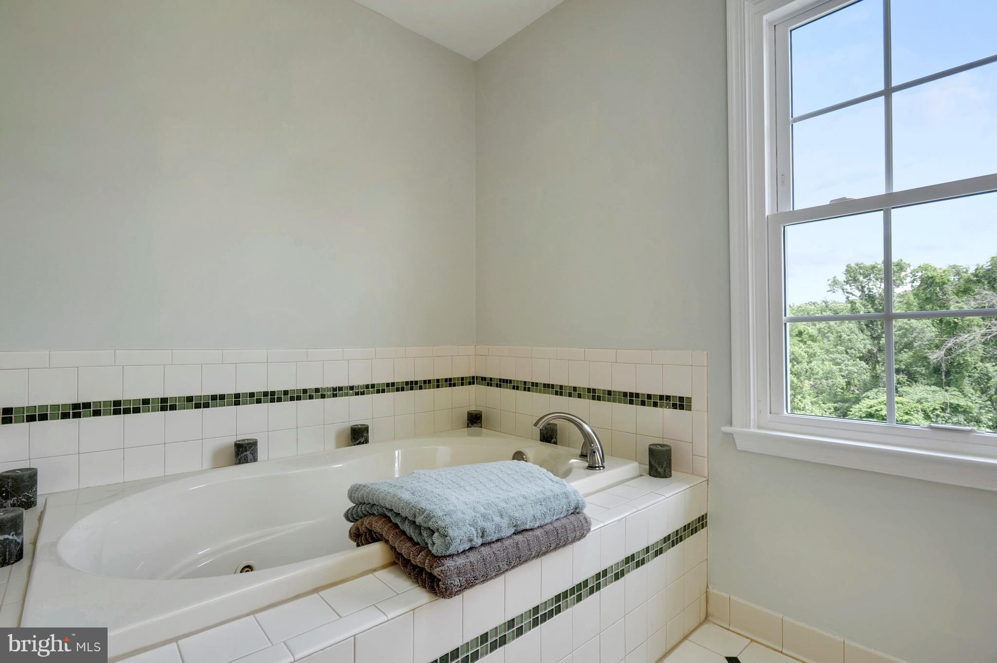 17870 Canby Road Leesburg, VA 20175 - Photo 18 of 30 Bath (Master)
