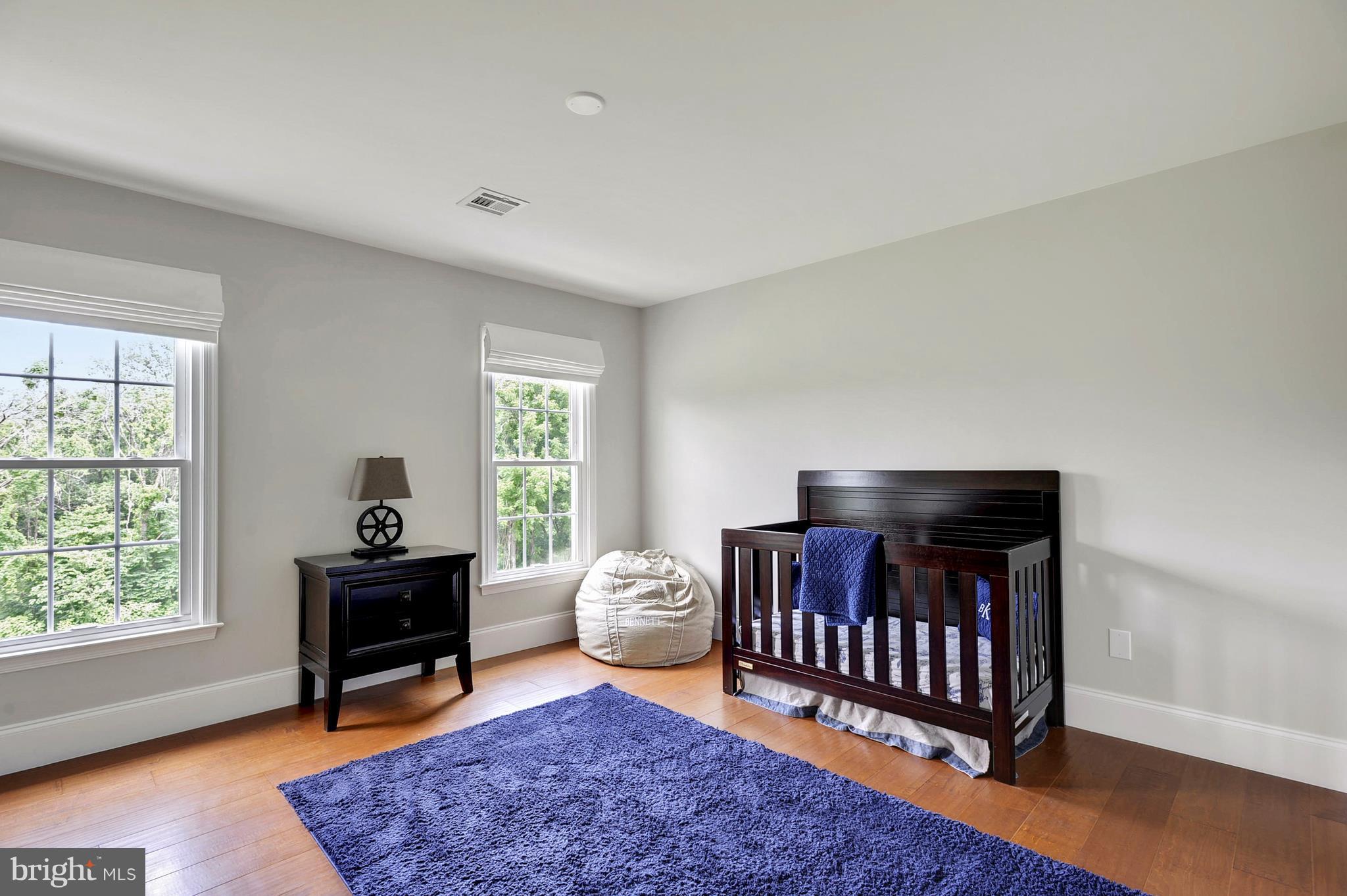17870 Canby Road Leesburg, VA 20175 - Photo 20 of 30 Bedroom 3 Second Level