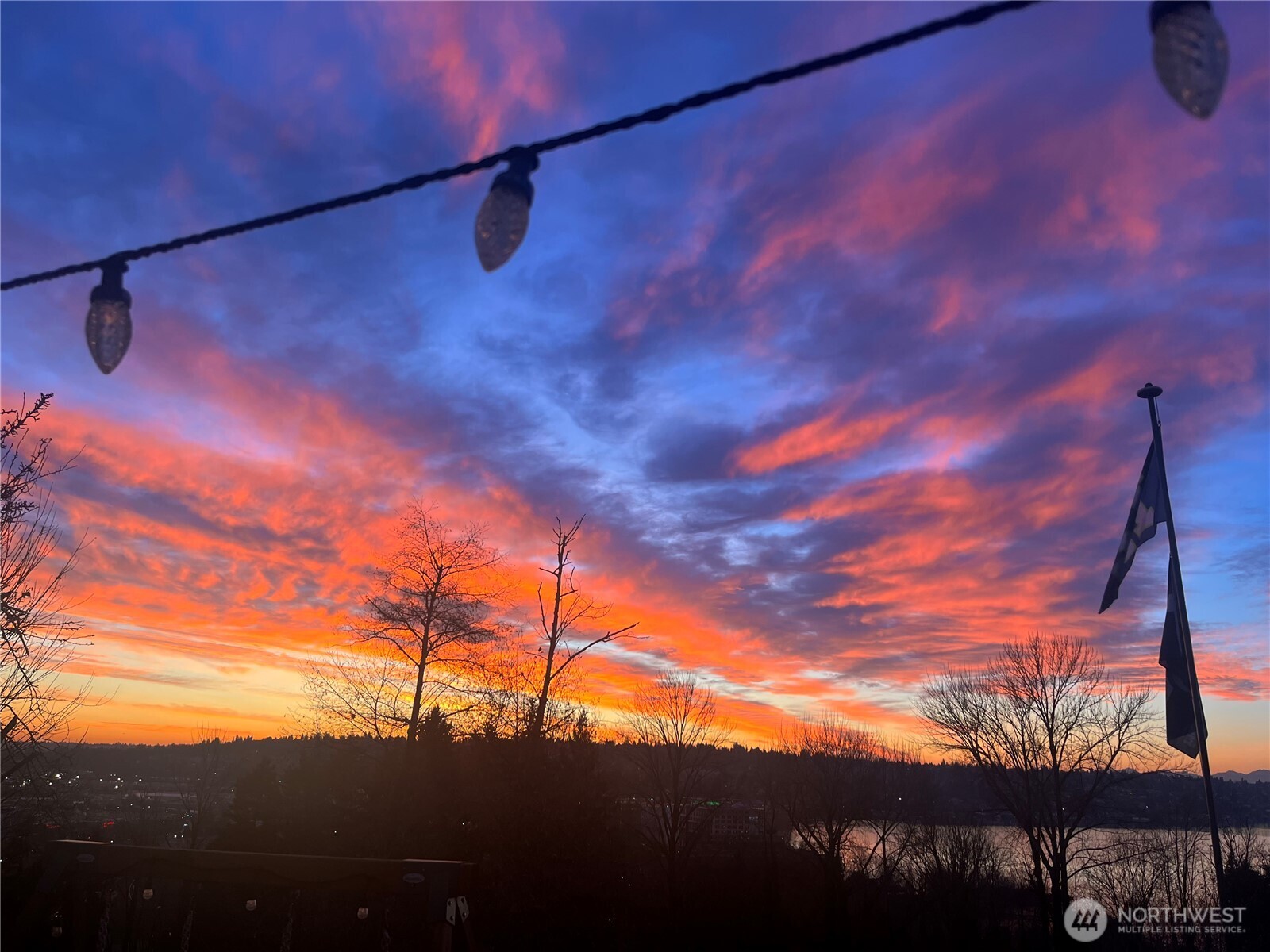 1425 Jones Avenue Northeast Renton, WA 98056 - Photo 33 of 36 a view of a yard