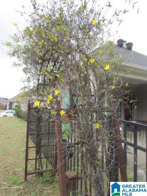 1000 Preston Place Chelsea, AL 35043 - Photo 29 of 30
