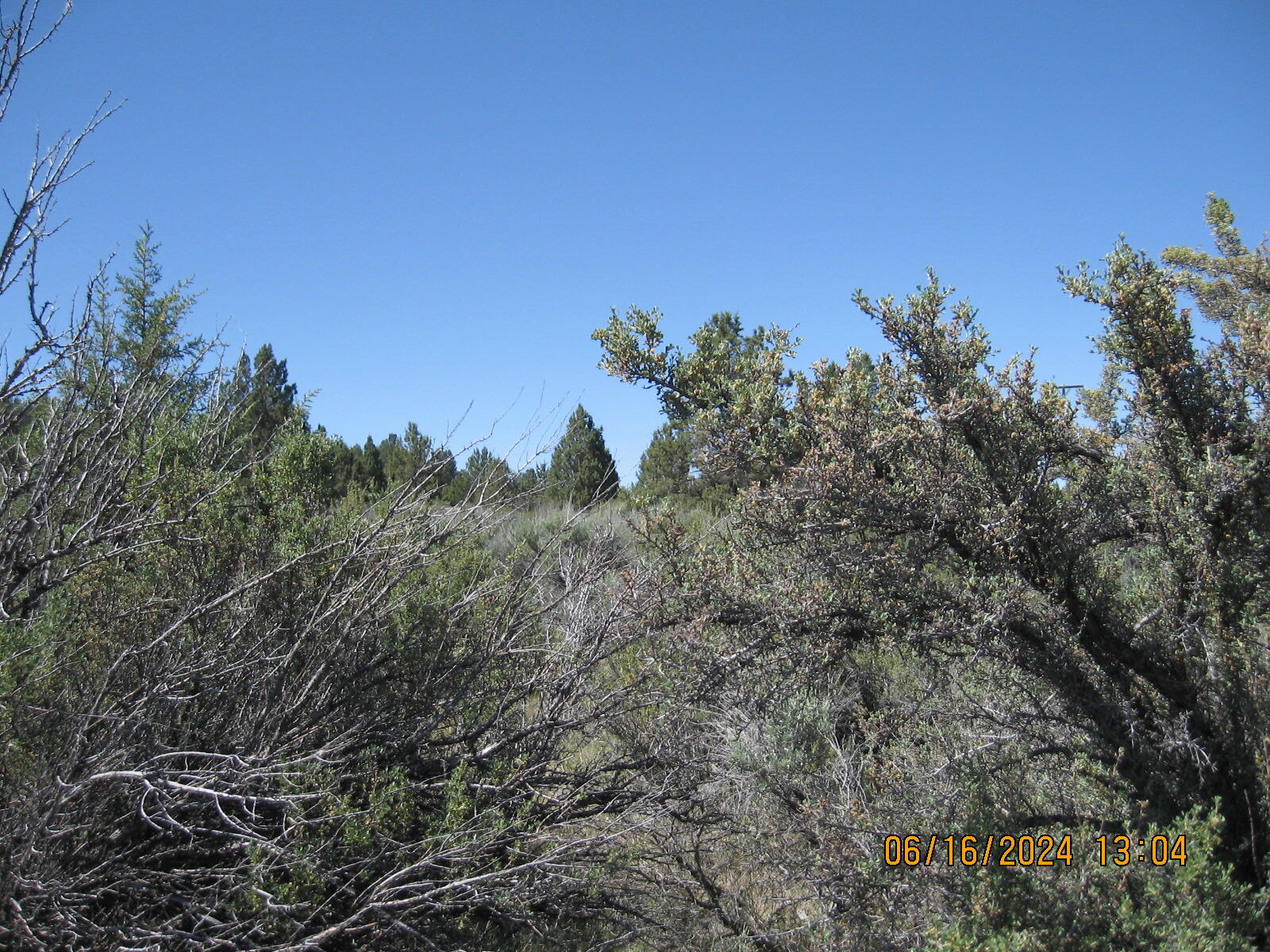 Drews Road Chiloquin, OR 97624 - Photo 5 of 19 5