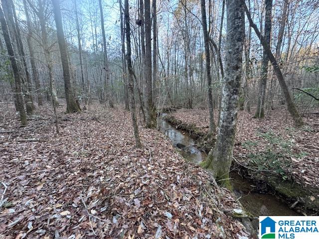 170 Valley Grove Road, Unit 45 AC Cragford, AL 36255 - Photo 19 of 19