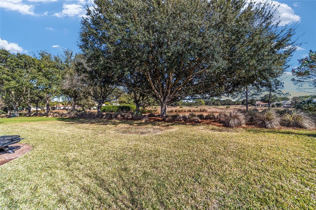 8555 Southwest 82nd Terrace Ocala, FL 34481 - Photo 73 of 76