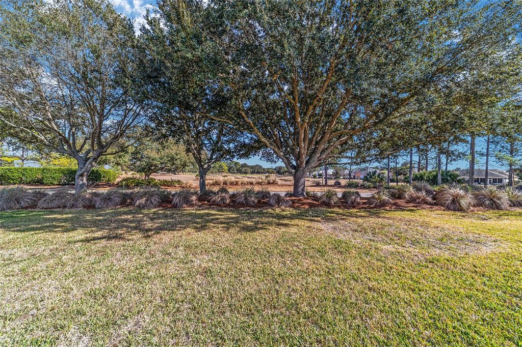 8555 Southwest 82nd Terrace Ocala, FL 34481 - Photo 74 of 76