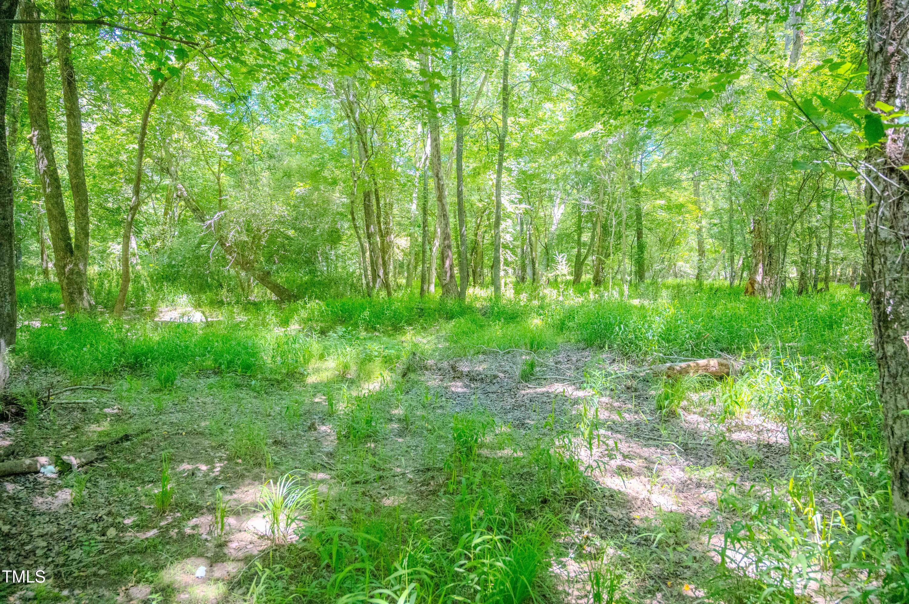 1 Covered Bridge Road Zebulon, NC 27597 - Photo 43 of 53 43