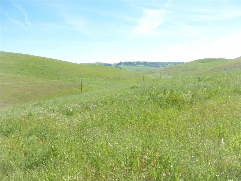 0 Douglas Road San Miguel, CA 93451 - Photo 43 of 44