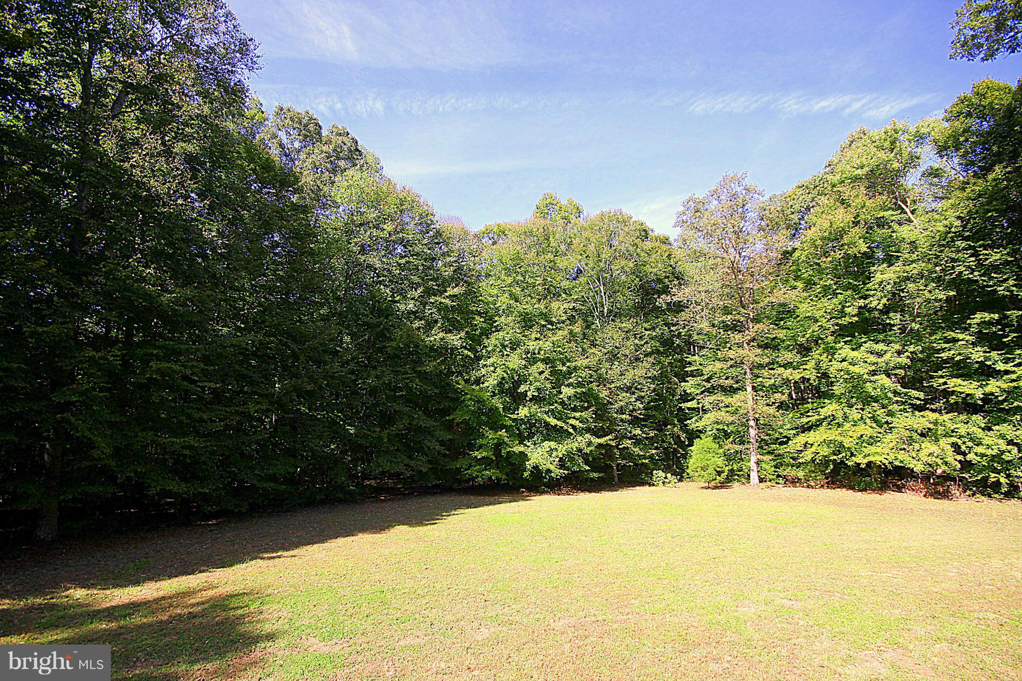 4512 Razor Hill Road Bealeton, VA 22712 - Photo 18 of 23 Amazingly Private with Rows of Evergreens