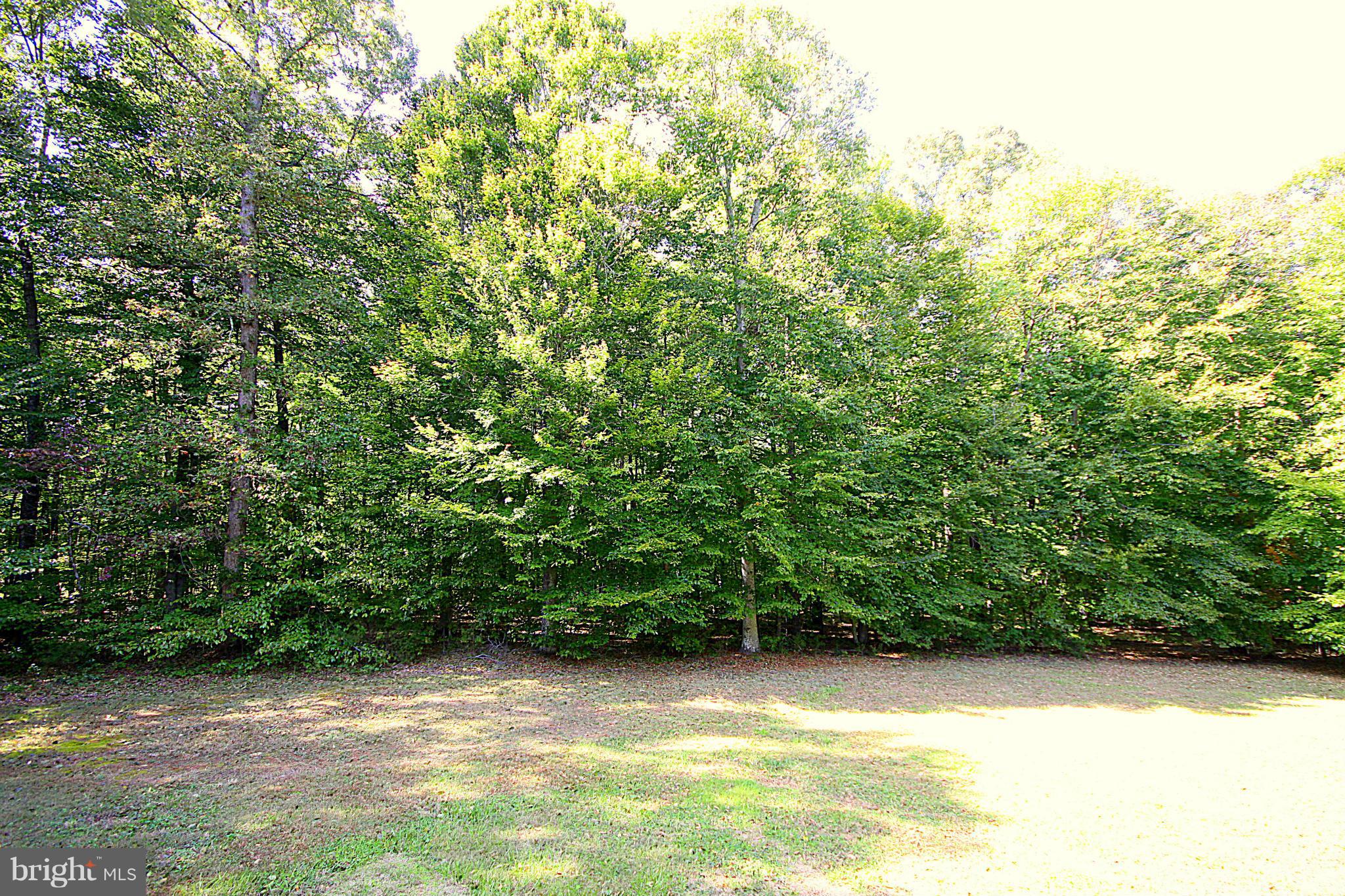 4512 Razor Hill Road Bealeton, VA 22712 - Photo 19 of 23 Cleared Space is great for Entertaining