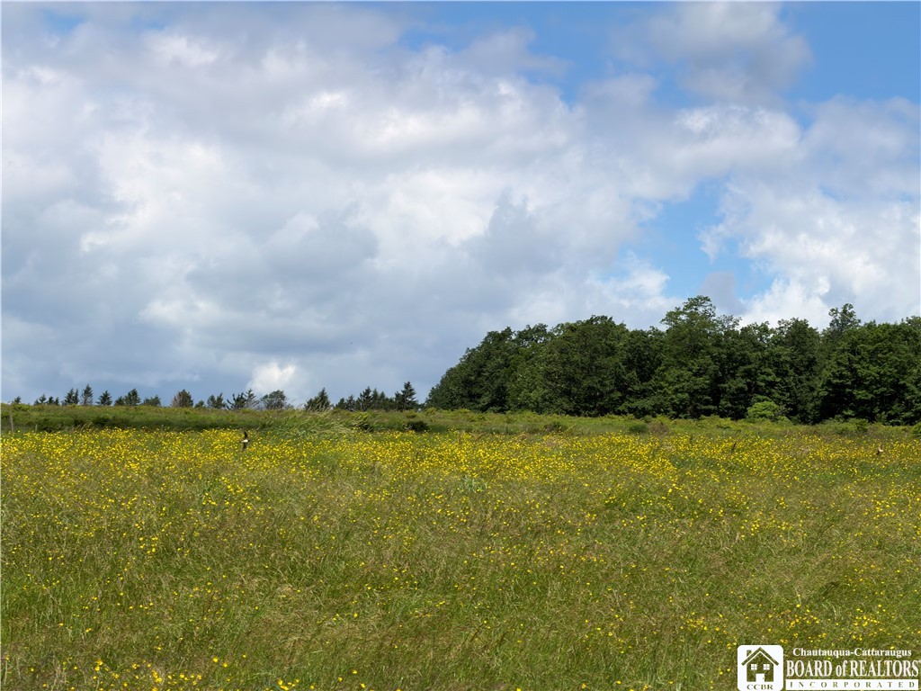 3801 Sprague Hill Road, Unit 3800 Falconer, NY 14733 - Photo 23 of 28