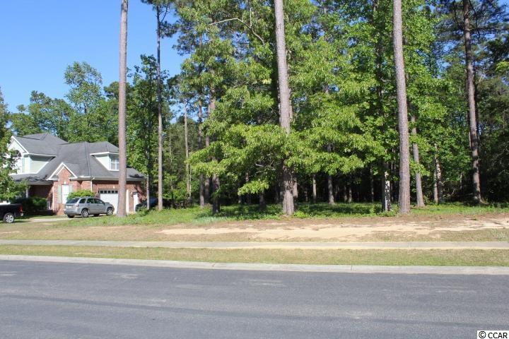 662 Chamberlin Road Myrtle Beach, SC 29588 - Photo 8 of 40 Gallery Image 8