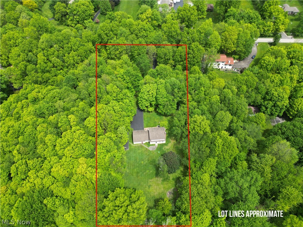 6155 Gibson Road Canfield, OH 44406 - Photo 6 of 43 Expansive wooded lot featuring a single-story residence with a dark-toned roof and light-toned siding