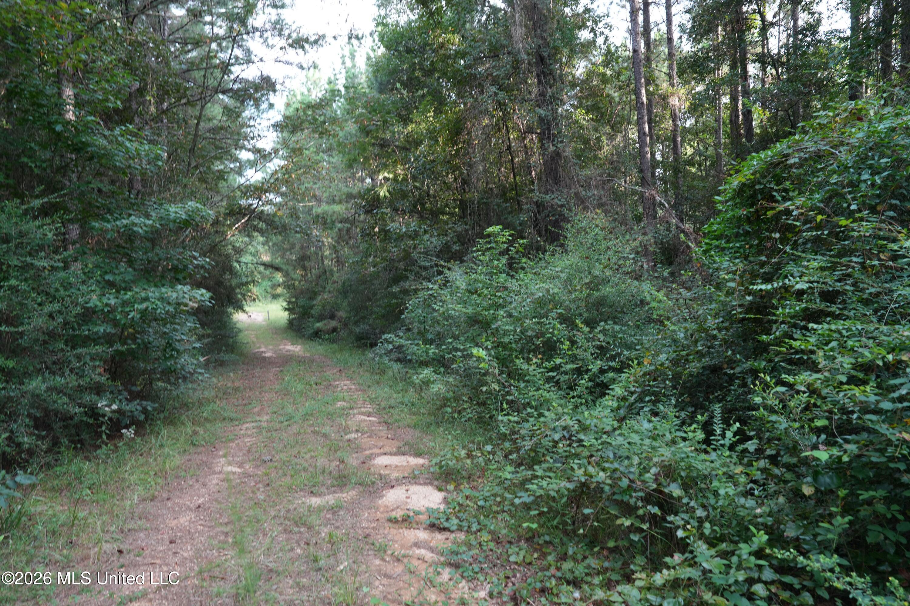 16 County Road Louin, MS 39338 - Photo 12 of 16 DSC04429