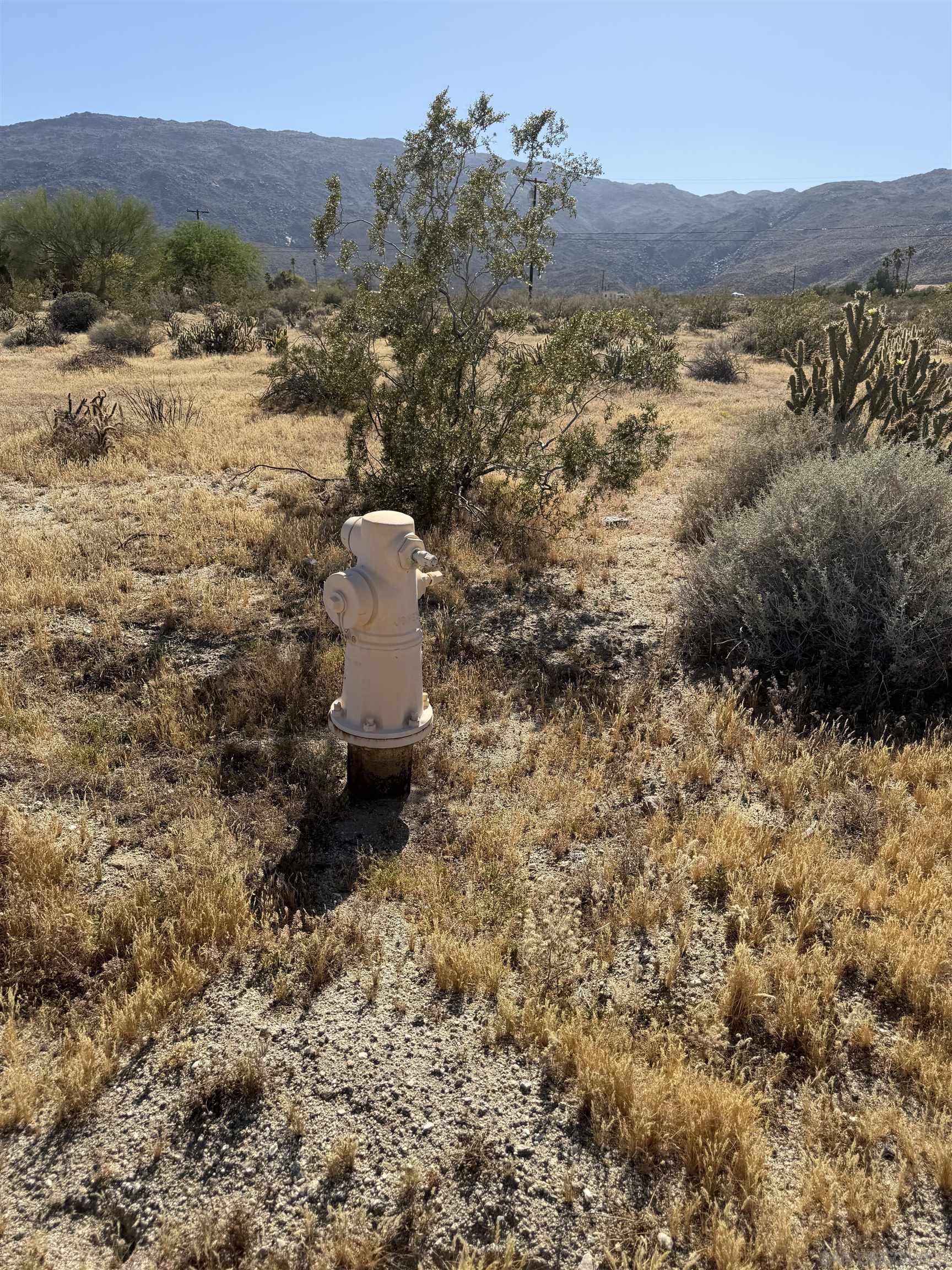0 Broken Arrow Road, Unit 89 Borrego Springs, CA 92004 - Photo 4 of 10
