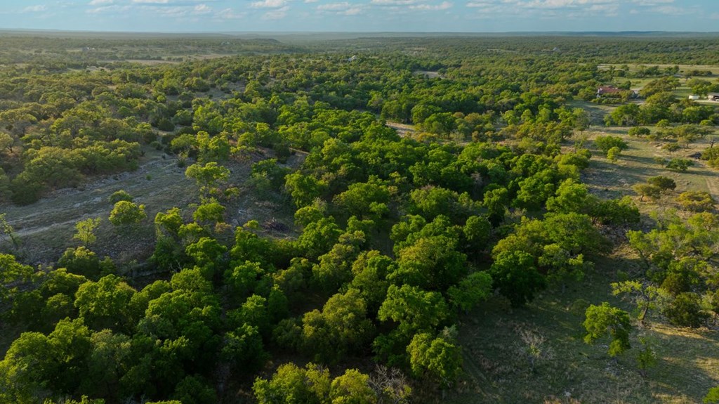 862 Grape Creek Road Fredericksburg, TX 78624 - Photo 76 of 91