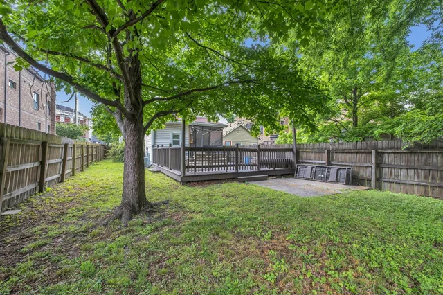 a view of backyard with tree