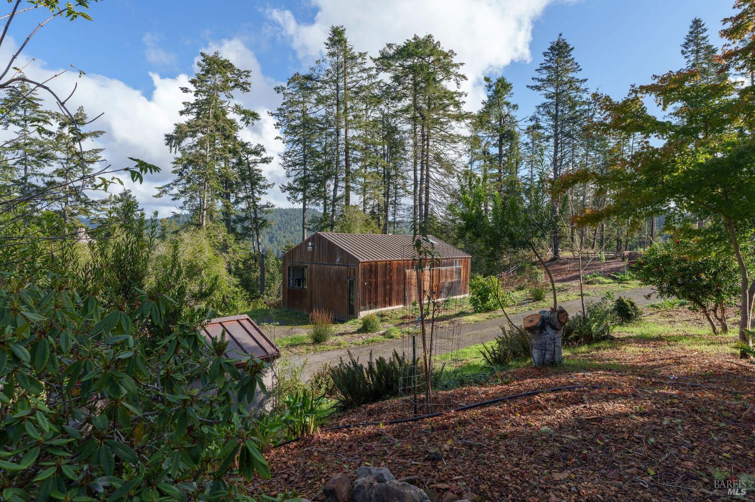 36029 Timber Ridge Road The Sea Ranch, CA 95497 - Photo 9 of 59 a view of a wooden house with a yard and large trees