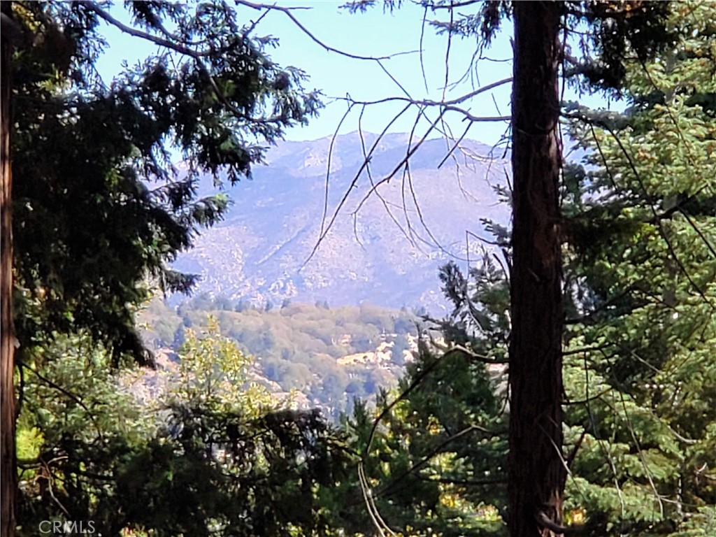 330 Castle Gate Road Lake Arrowhead, CA 92352 - Photo 6 of 12