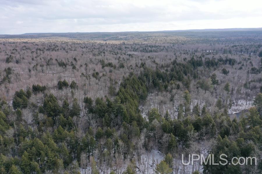 Tbd Erick Road Skanee, MI 49962 - Photo 25 of 34 Gallery Image 25