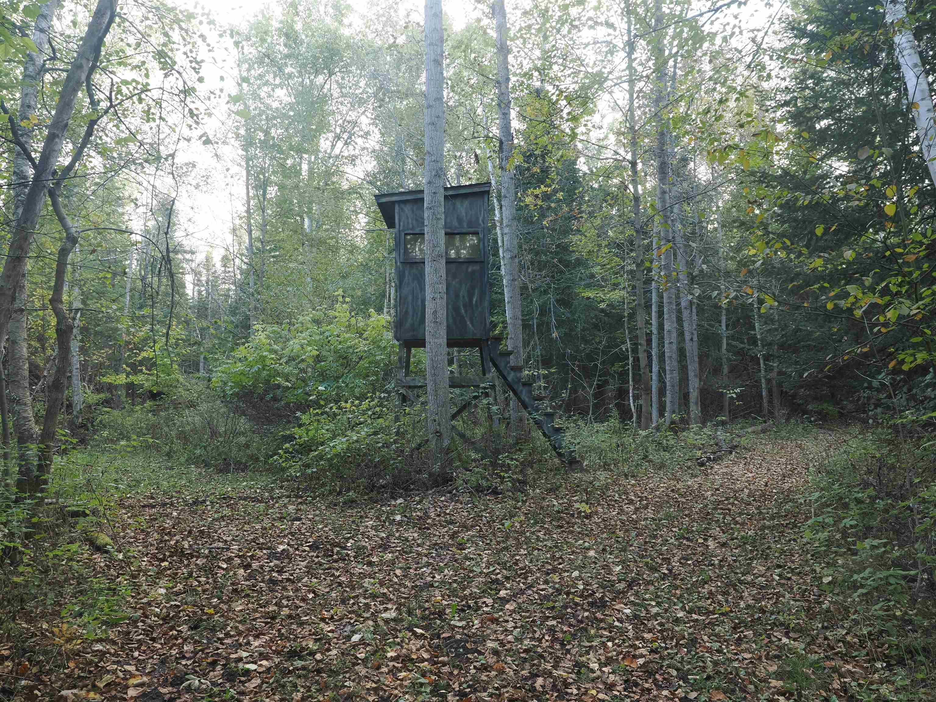 Xxx Tolan Road Spruce, MI 48762 - Photo 43 of 79