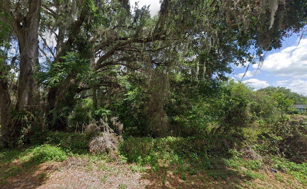 Northwest 2nd Webster, FL 33597 - Photo 4 of 8