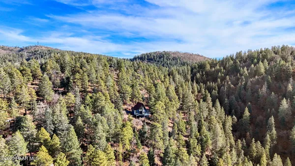 a view of a lush green hillside and a mountain
