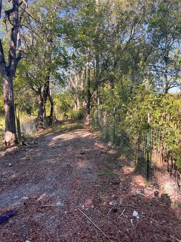 a view of a forest with trees