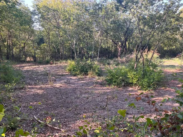 a view of outdoor space and trees