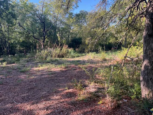 a view of backyard with green space