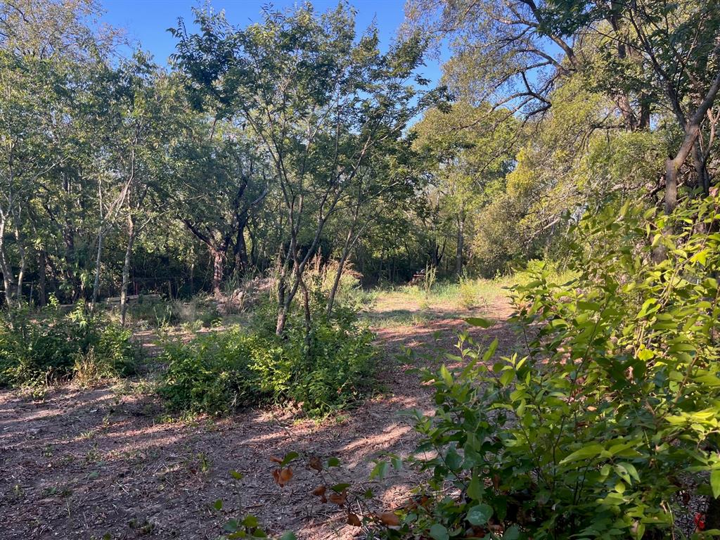 215 North Houston School Road Lancaster, TX 75146 - Photo 6 of 13 a view of a yard with plants and large trees