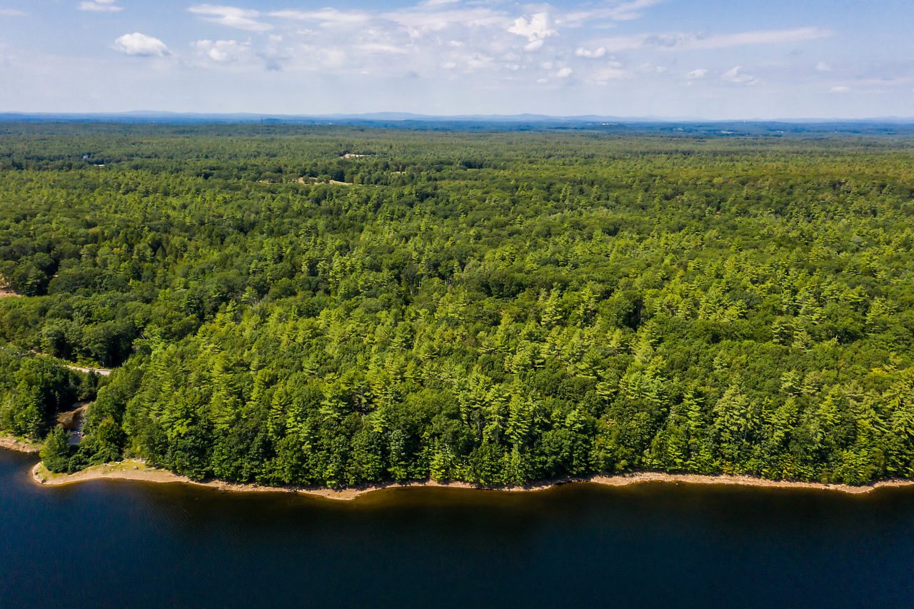 246 Bell Marsh Road York, ME 03909 - Photo 6 of 17 Gallery Image 6