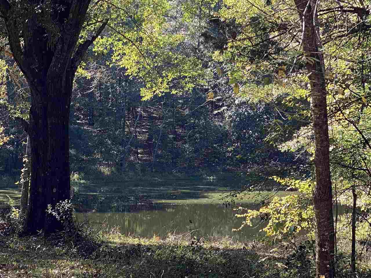 1931 Pardue Road Raymond, MS 39154 - Photo 25 of 31 Photo 25