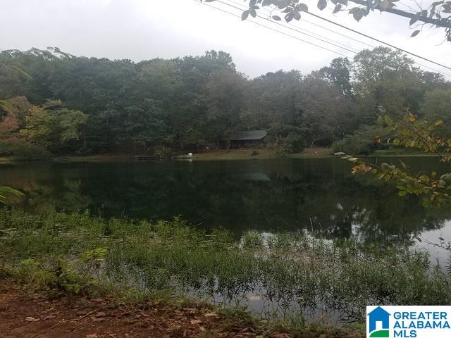 481 Aderholdt Mill Road Jacksonville, AL 36265 - Photo 5 of 10