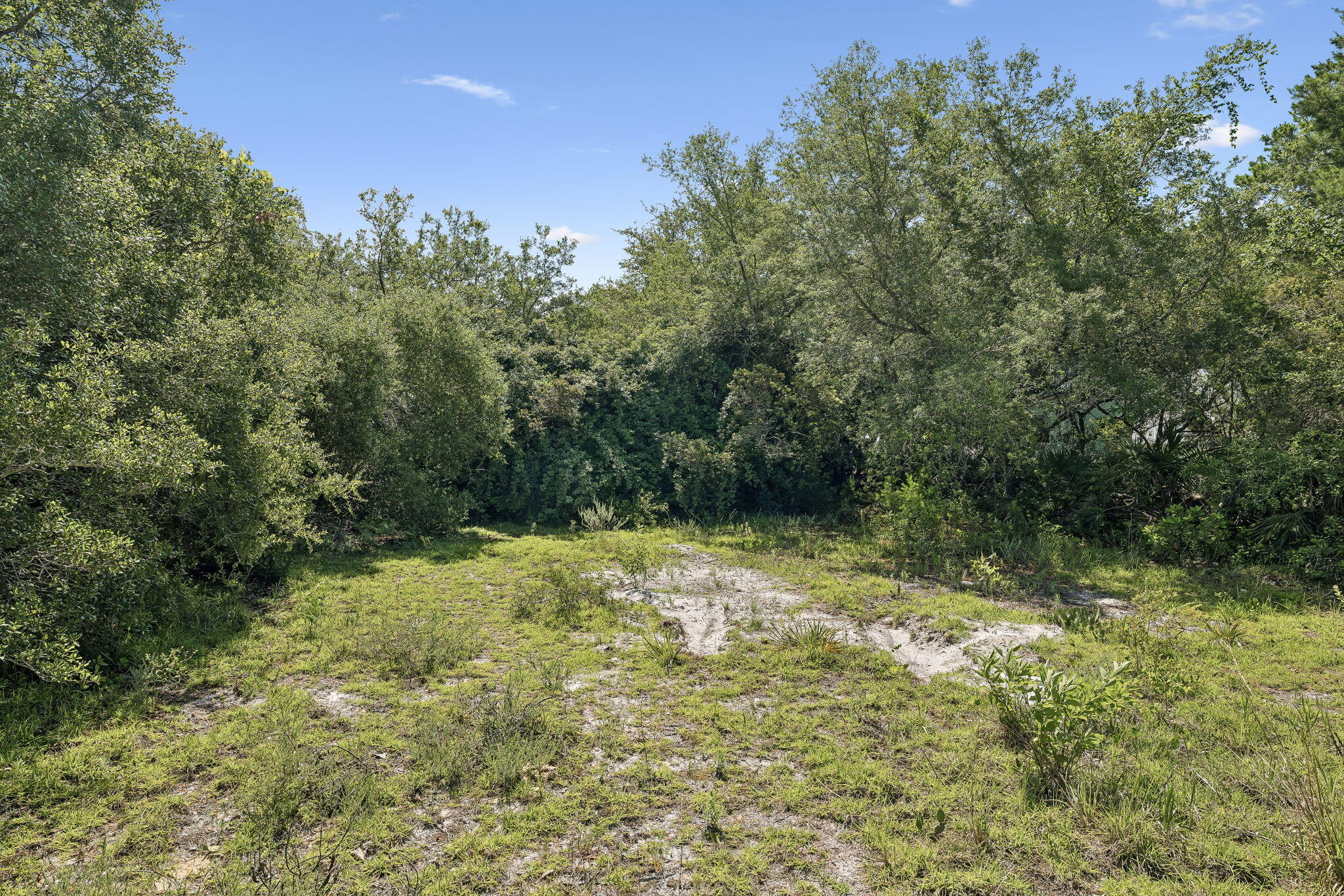 Tbd Barcelona Avenue Santa Rosa Beach, FL 32459 - Photo 12 of 27 a view of backyard