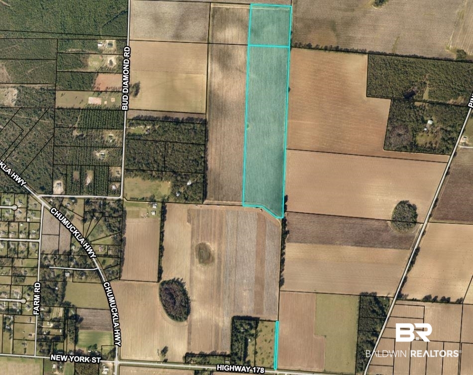 0 Highway 178 Jay Jay, FL 32565 - Photo 1 of 1 Gallery Image 1