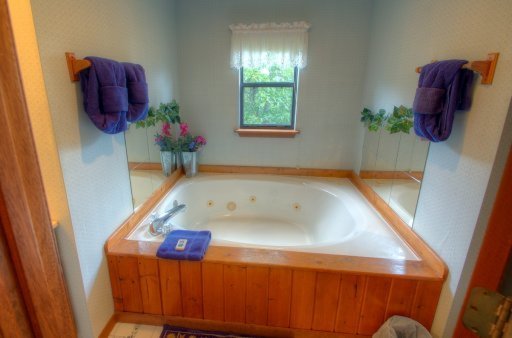 1823 Timber Ridge Way Pigeon Forge, TN 37876 - Photo 6 of 15 Additional Photo