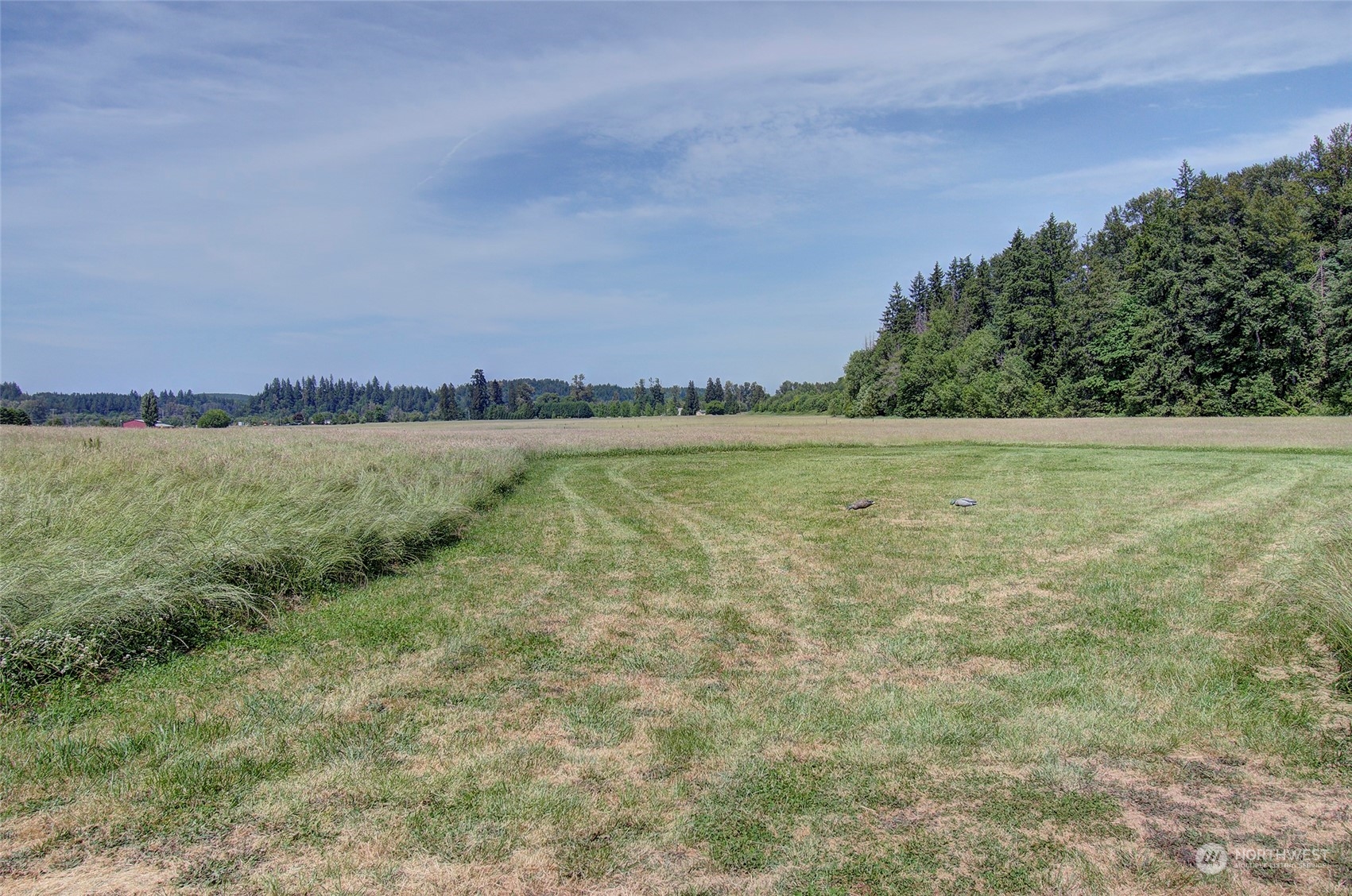 330 Rogers Road Toledo, WA 98591 - Photo 36 of 39 Gallery Image 36