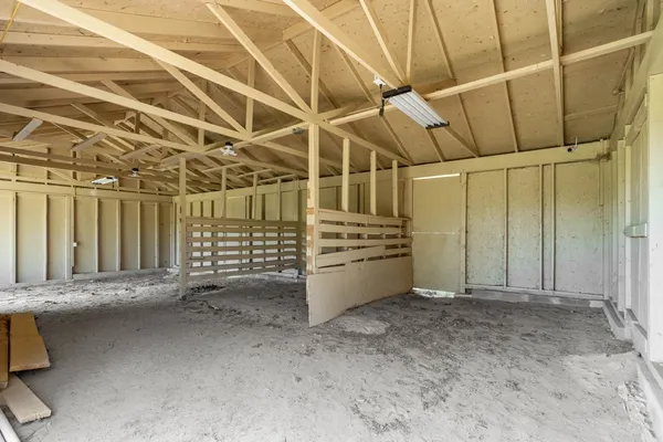 a view of a yard with plants and a trees