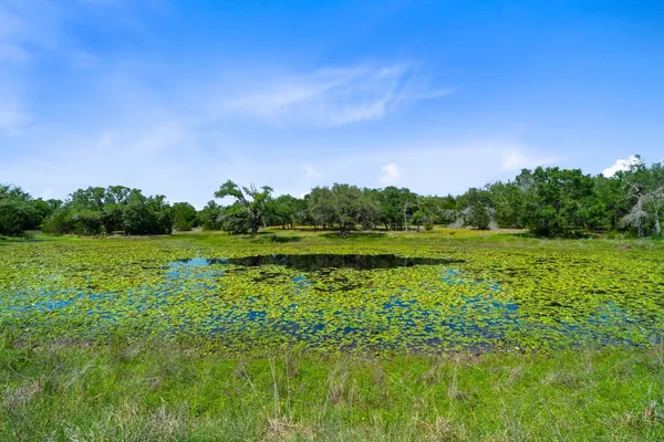 a view of a lake with houses in the background