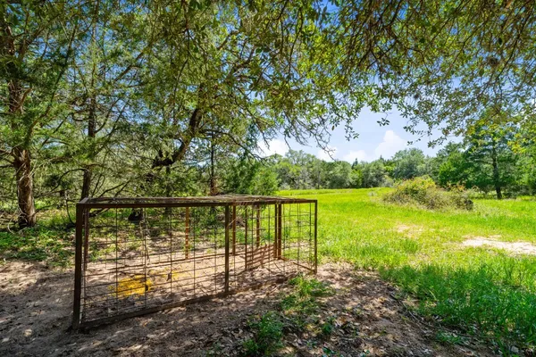 a view of yard with green space