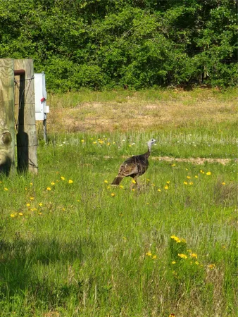 a picture of floor to ceiling fan and a window