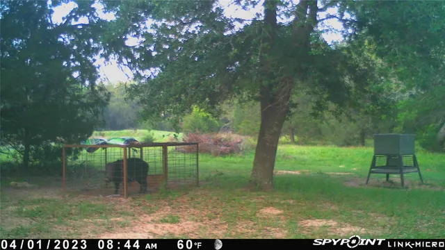 $1,200,000 | 1019 Deer Field Court, Weimar, TX 78962