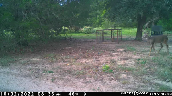 $1,200,000 | 1019 Deer Field Court, Weimar, TX 78962