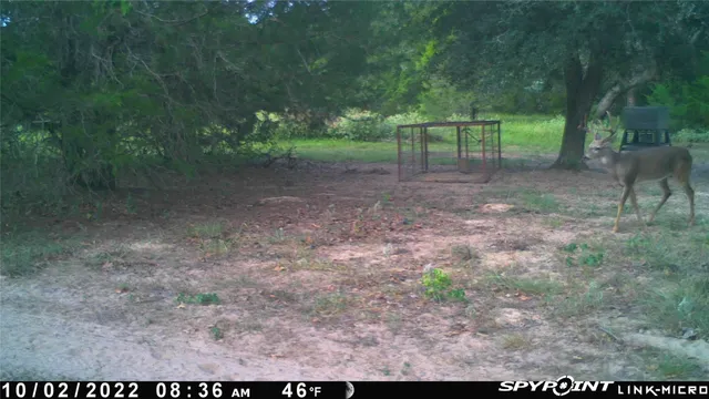 $1,200,000 | 1019 Deer Field Court, Weimar, TX 78962