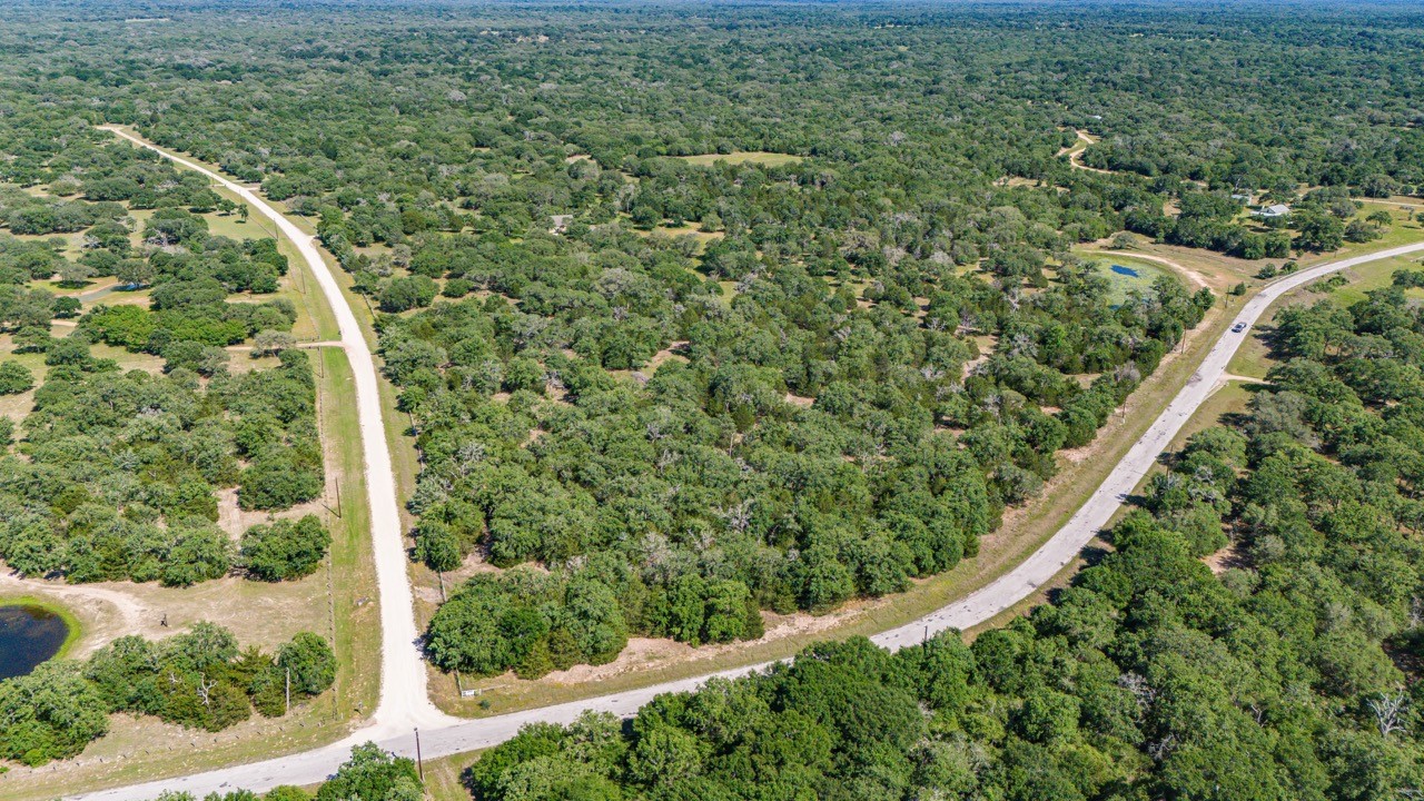 1019 Deer Field Court Weimar, TX 78962 - Photo 10 of 50 a view of a yard with plants