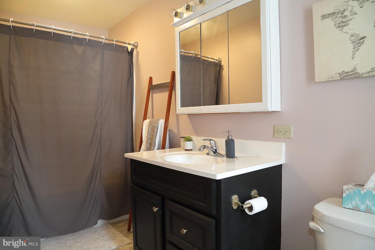 157 Front Street Lititz, PA 17543 - Photo 15 of 22 Main Bath