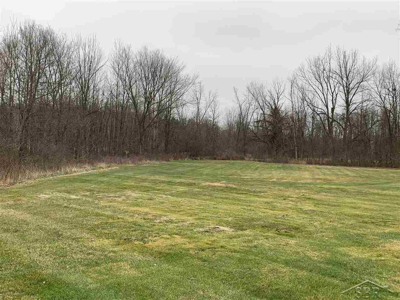 13156 Morrish Road Montrose, MI 48457 - Photo 48 of 53 3 acre lot with Pitch Creek running through the trees