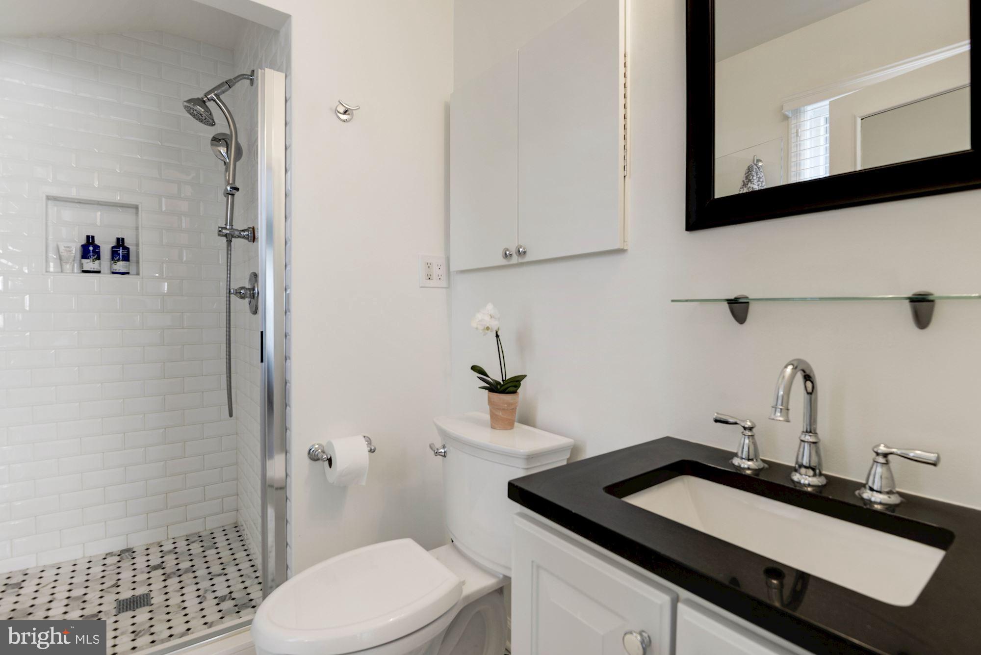 7504 Tarrytown Road Chevy Chase, MD 20815 - Photo 45 of 66 Newly renovated Master Bathroom