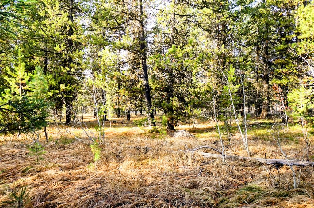 Lot 79 Thunderbolt Pl Unit 79